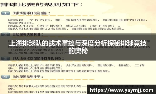 上海排球队的战术掌控与深度分析探秘排球竞技的奥秘